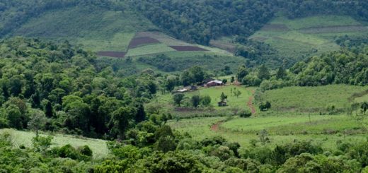 EL SOBERBIO: LA JUSTICIA RECHAZÓ DEMANDA POR DESALOJO DE LA EMPRESA MOCONÁ SA SOBRE FAMILIAS COLONIZADORAS DEL LOTE 9 EN PUERTO PARAÍSO