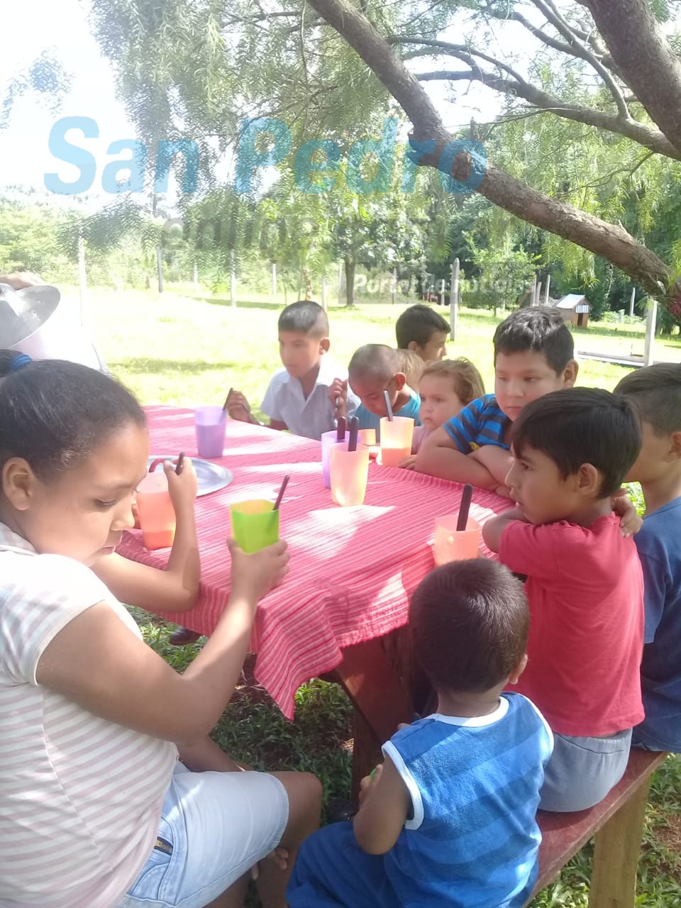 TERCÍADOS PARAÍSO: DEBAJO DE UN ÁRBOL, MÁS DE 30 NIÑOS ASISTEN A MERENDAR