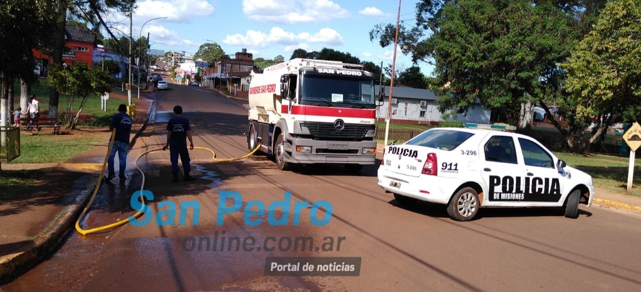 SAN PEDRO: BOMBEROS VOLUNTARIOS COLABORAN PARA EMBELLECER LA CIUDAD