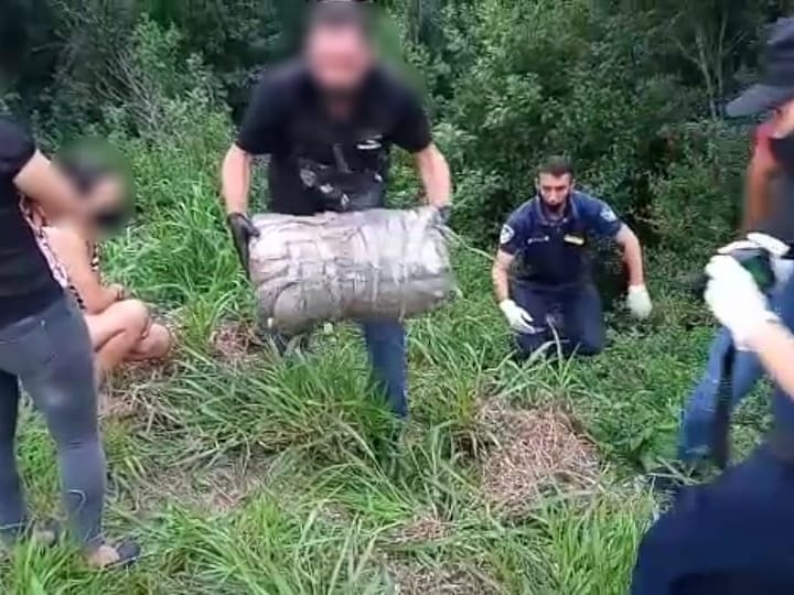 OPERATIVOS RURALES: INCAUTARON MARIHUANA EN POZO AZUL Y ALMAFUERTE