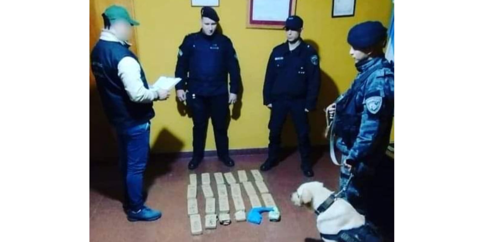 HALLARON COCAÍNA Y MARIHUANA EN EL ESCONDITE DEL COLOMBIANO RECAPTURADO