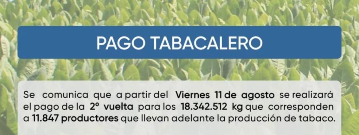TABACALEROS COBRARÁN 1.652 MILLONES DE PESOS EN ESTA 2DA VUELTA