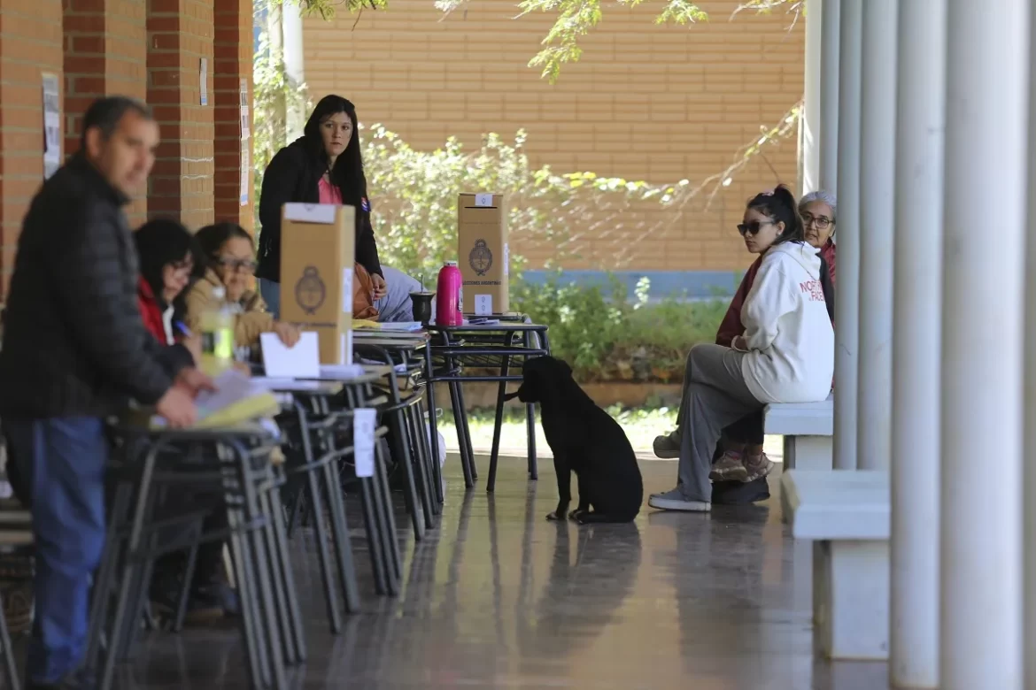 MILEI GANÓ EN MISIONES, PERO LA RENOVACIÓN FUE LA MÁS VOTADA PARA EL CONGRESO RELEGANDO A CAMBIEMOS