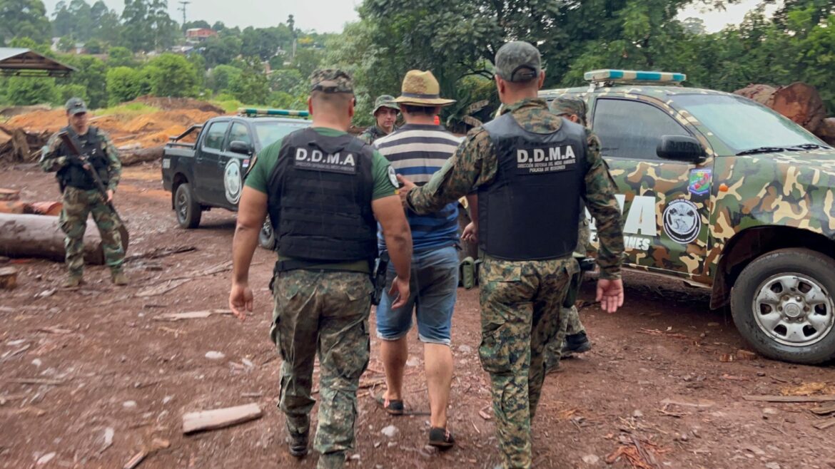 Madera robada en Piñalito: Detienen al dueño de un aserradero