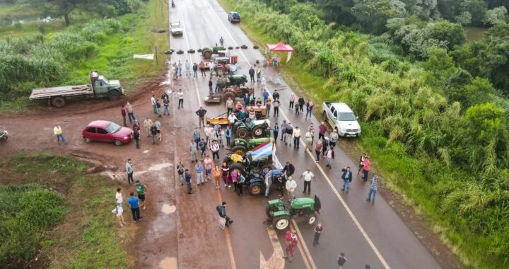 JAQUE A LA YERBA MATE: un juego muy desigual en un mercado “libre”