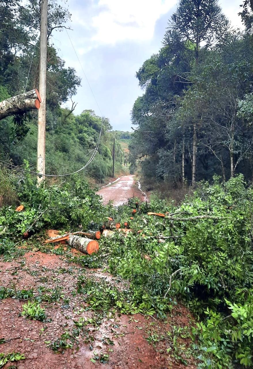 Un fuerte temporal causó graves daños en Palmera Boca y otras zonas de San Pedro