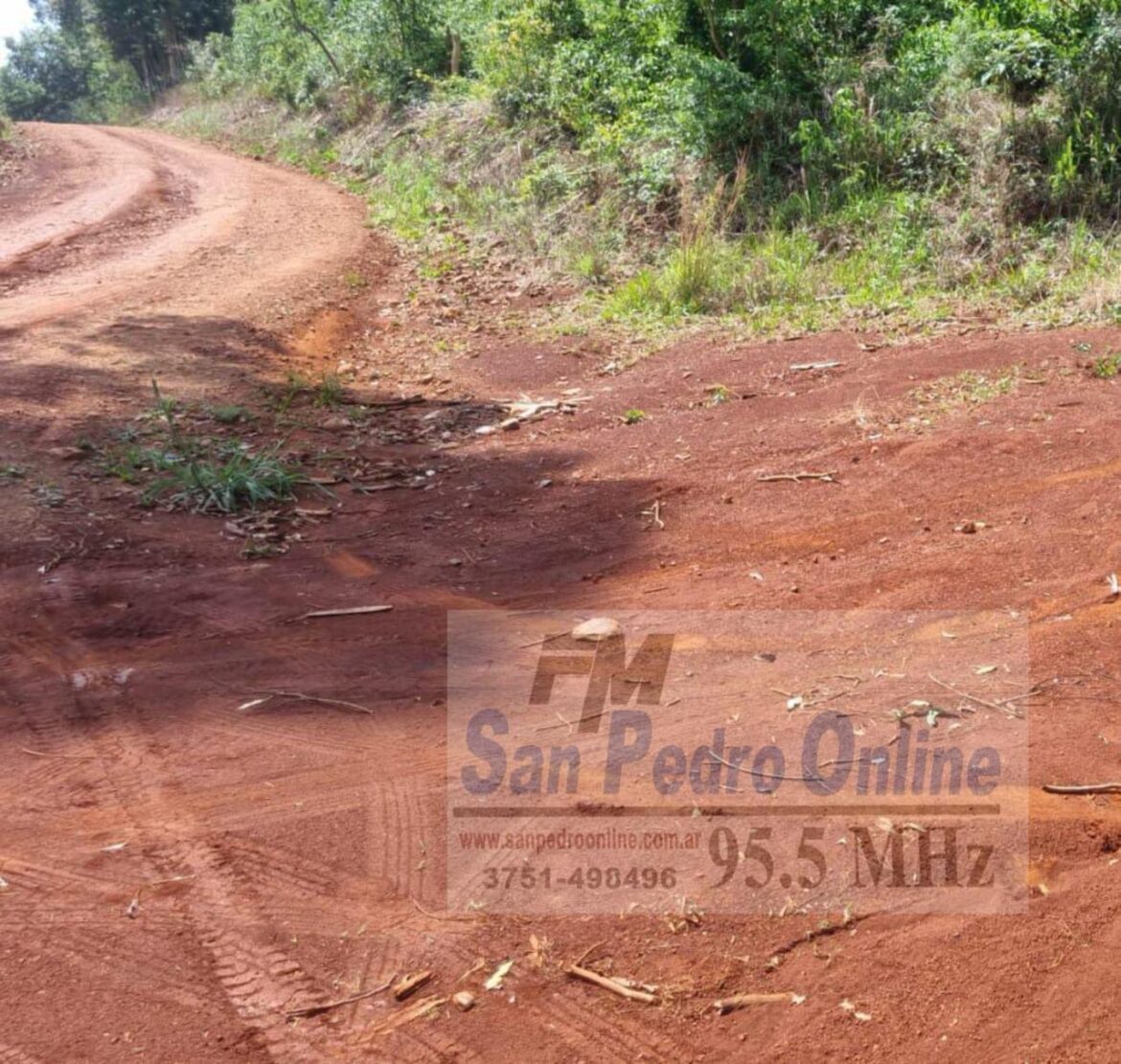 San Pedro: remisera fue interceptada por falsos pasajeros y sufrió un robo a mano armada