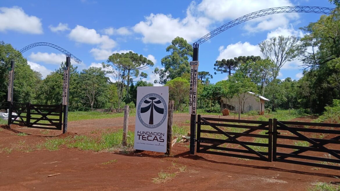 San Pedro declaró de interés municipal un proyecto ambiental