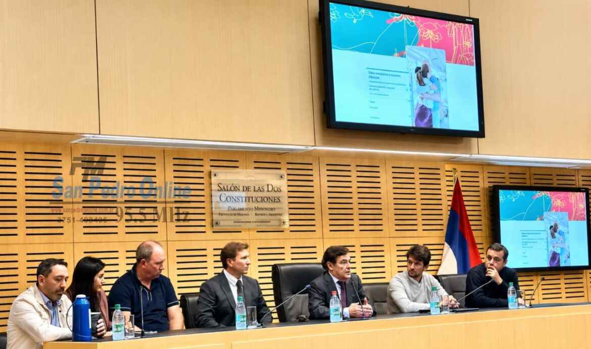Debaten en Misiones una reforma electoral con boleta única partidaria y límite de sublemas