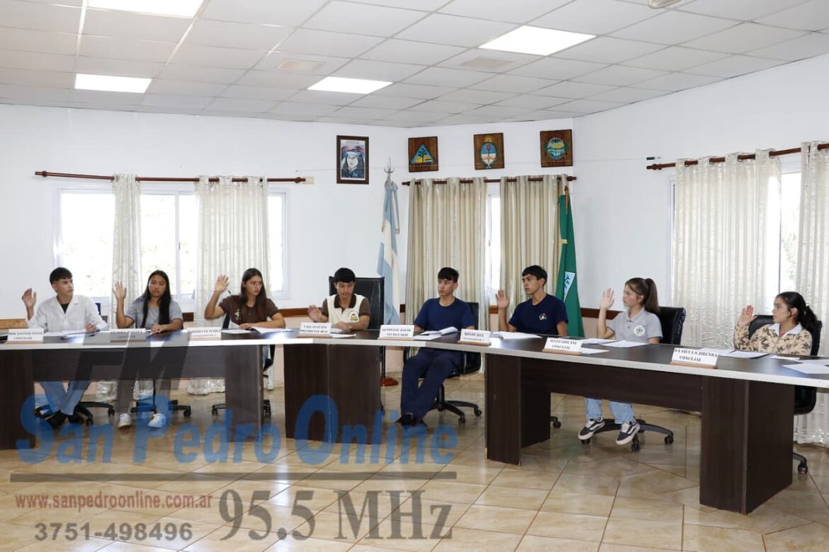 Con nueve proyectos aprobados, finalizó la sexta edición del Concejo Estudiantil en San Pedro