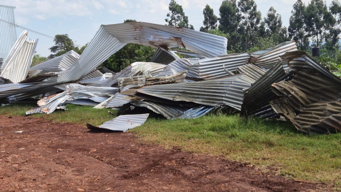 La fuerte tormenta provocó importantes daños en la planta de la Cooperativa Yerbatera San Pedro