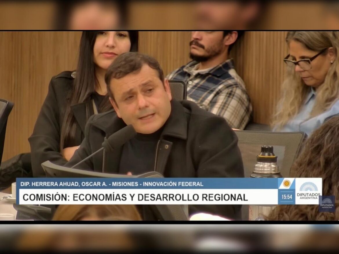 Oscar Herrera Ahuad advirtió sobre el impacto que tendría la Ley de Tierras en Misiones: «No me permito estar del lado de quien se la va a sacar»