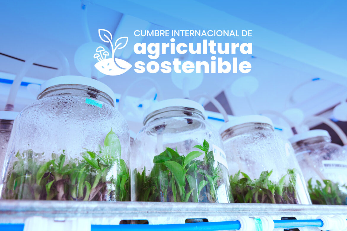 Este jueves, Misiones vuelve a poner la chacra del futuro en el centro de la agenda