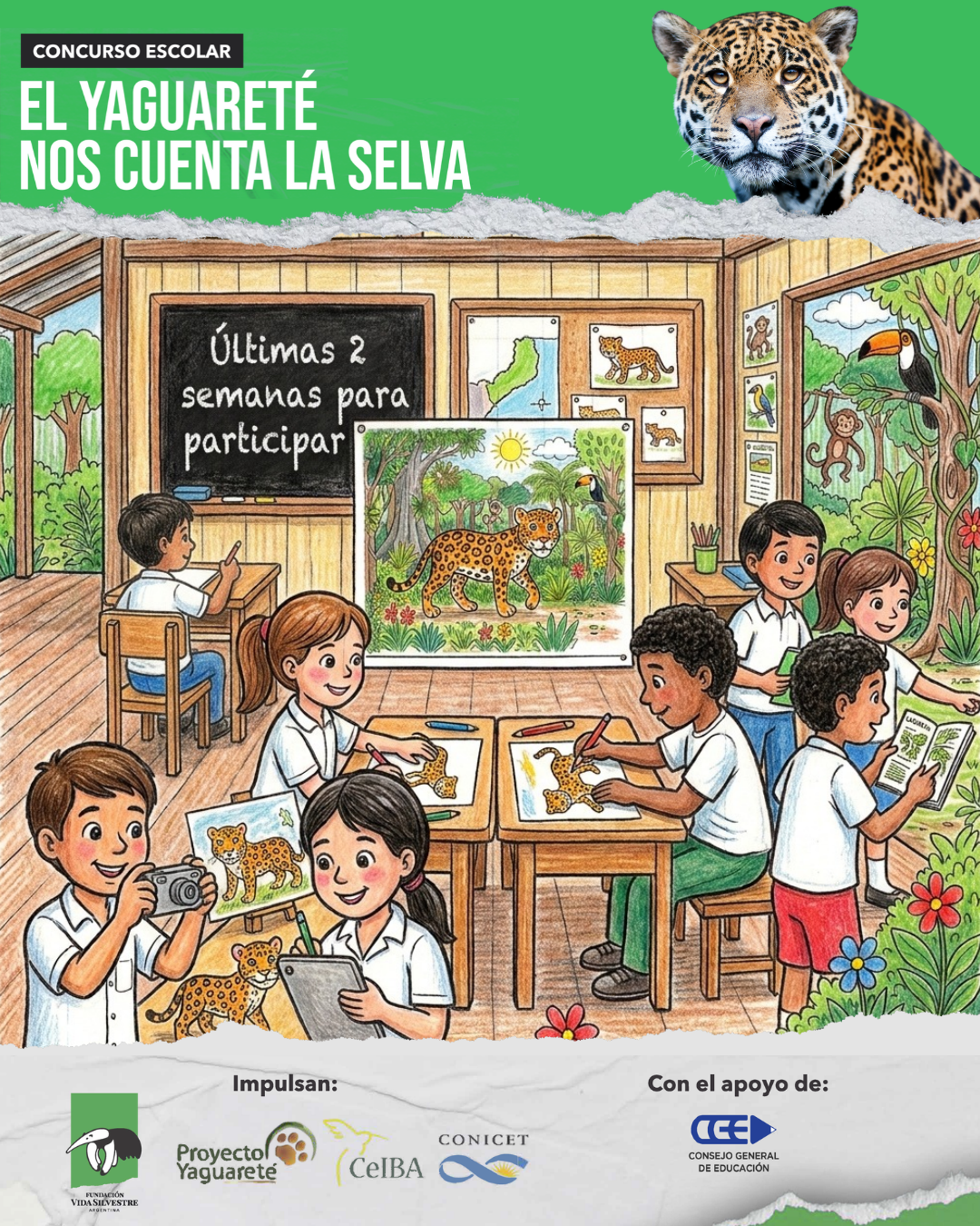 Últimas dos semanas para participar del concurso escolar “El yaguareté nos cuenta la selva”